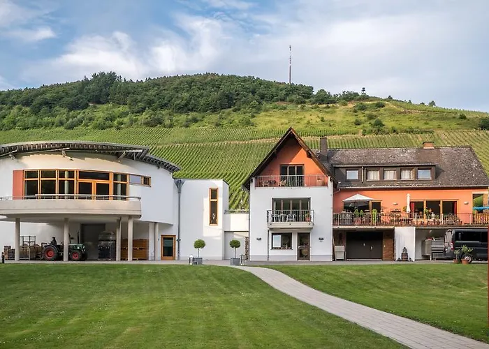 Weingut Peifer Трабен-Трарбах